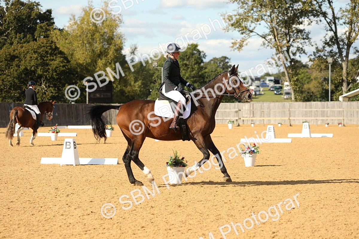 SBM_26742 - D17 - Grand Tour Championship - Novice 27