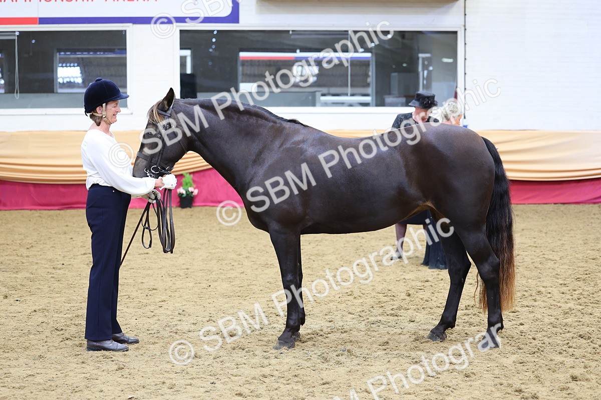 SBM_22881 - Class 903 - Supreme Final - IH Pre Vet