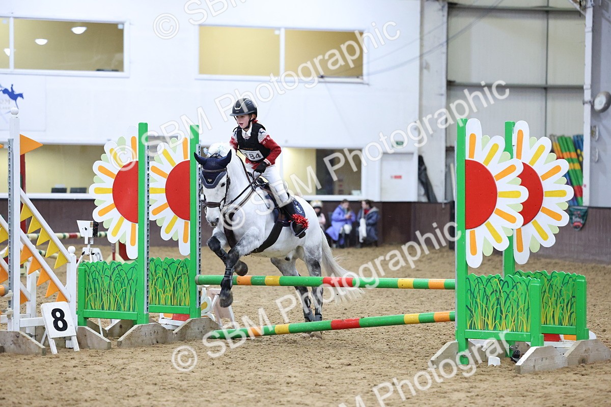 SBM_001196 - Class 3 - Christmas Tree Stakes - 60cm