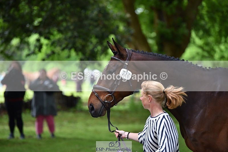 240522-170154-01338 - 274-JACK_OF_CLUBS-Rosalind_Canter