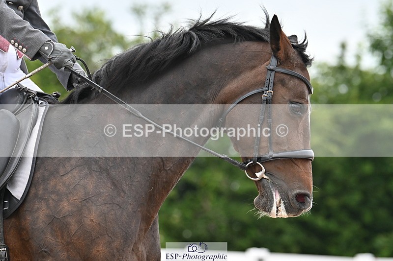 240621A-170918-05909 - Cls 14 BD Adv Medium 98