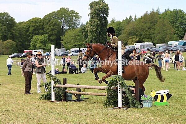 IMG_2991 - Working Hunter
