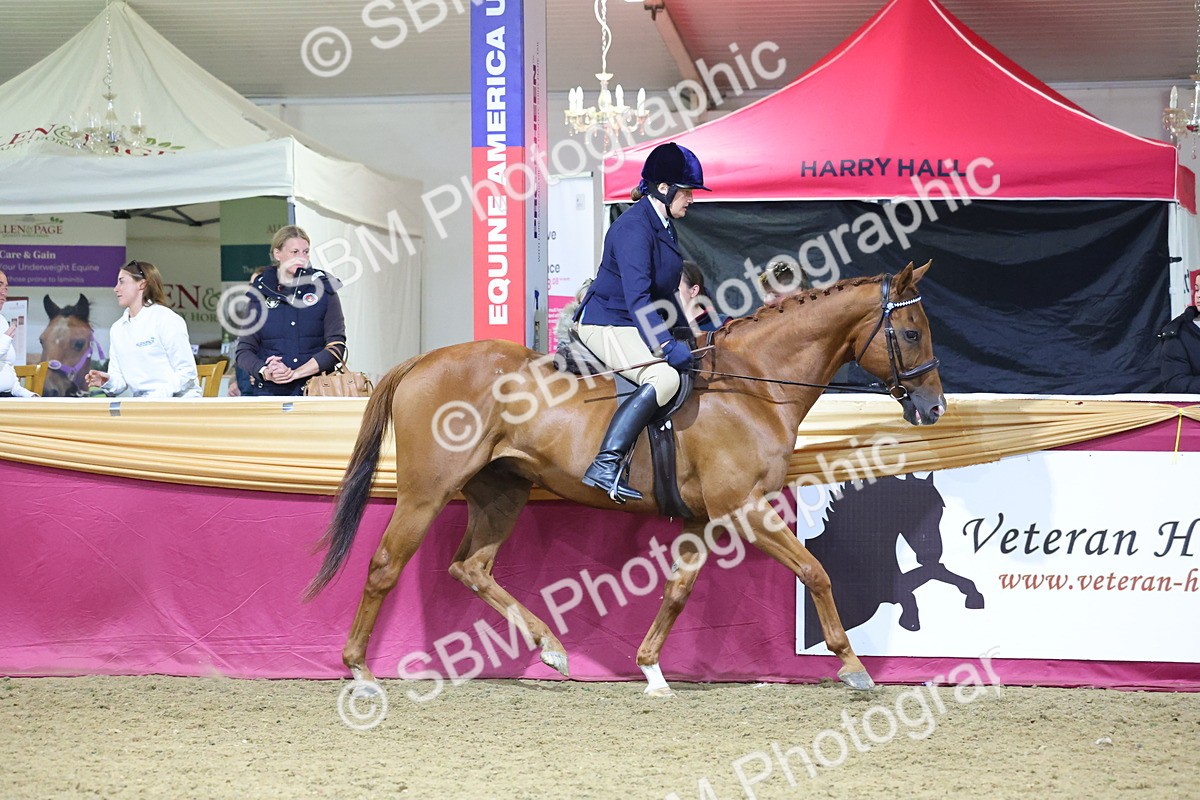 0B8A4277 - Class 108Ridden Retired Racehorse- Final Judging
