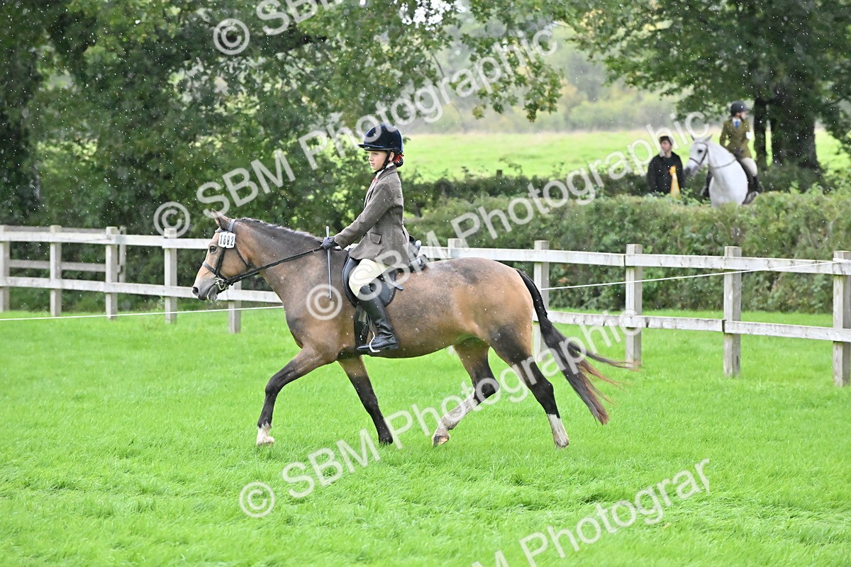 SBM_42939 - S12 - Family Horse & Pony