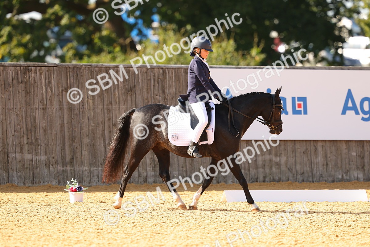SBM_48447 - D22 - Junior Championship - Intro B