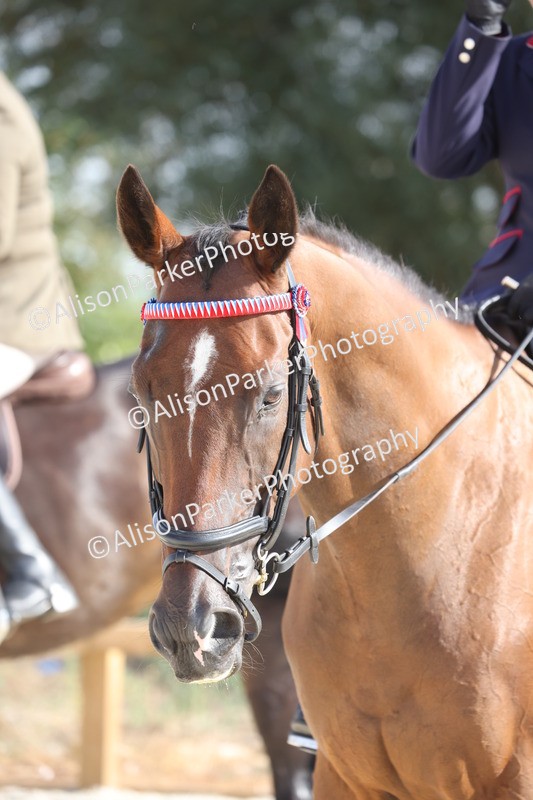 20260802-0182 - Class 5 - ROR Ridden