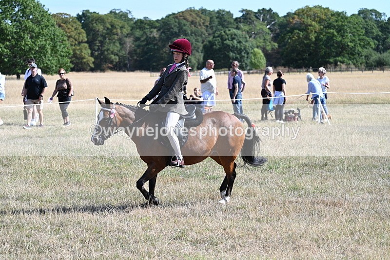 WJ7_4062 - Class 9 Mountain & Moorland Ridden