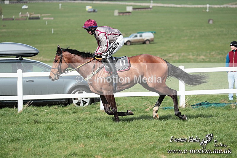 PtP 230324 530 - Tedworth Hunt PtP Larkhill Raccourse 23rd March 2024