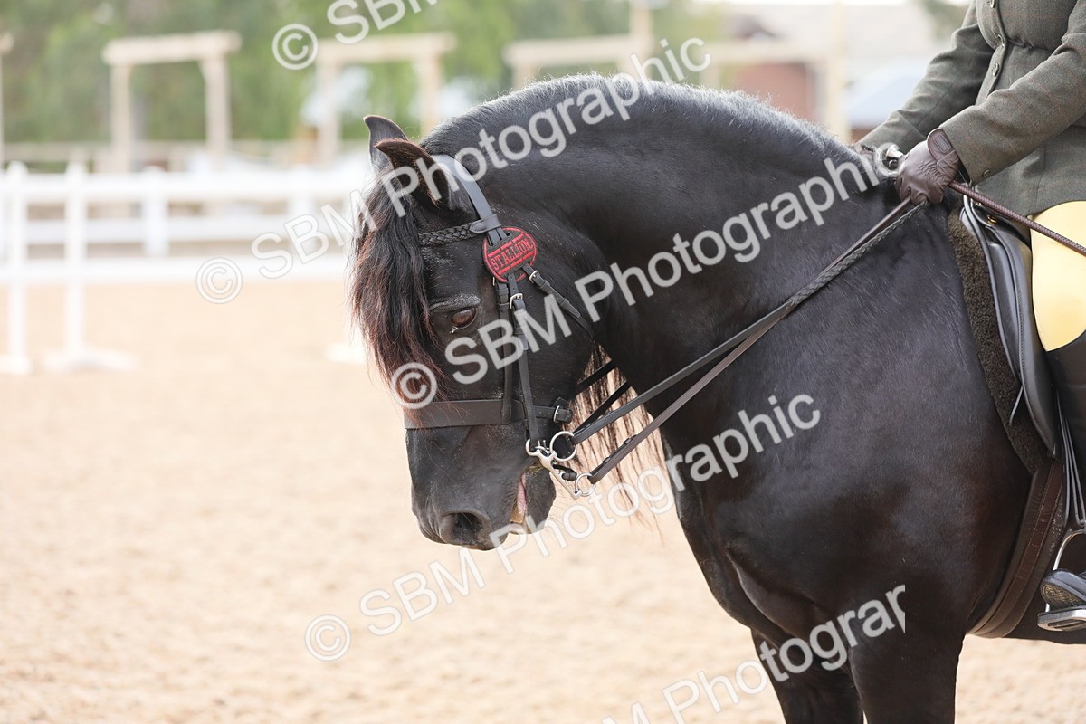 SBM_10035 - Class 302 Ridden M&M -Large Breeds