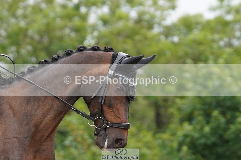 250622-113652-15756 - Cls 55 Freestyle Medium Inc Presentations