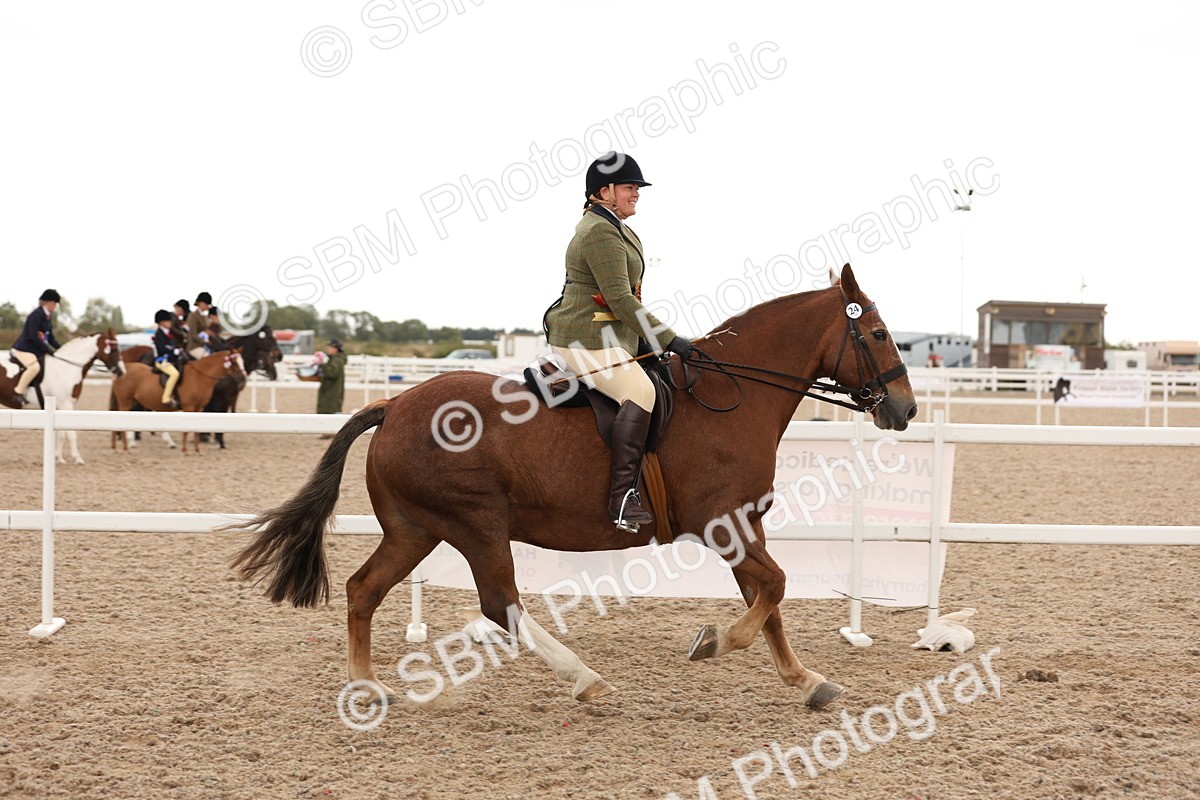 SBM_19616 - Class 215 - Ridden Show cob