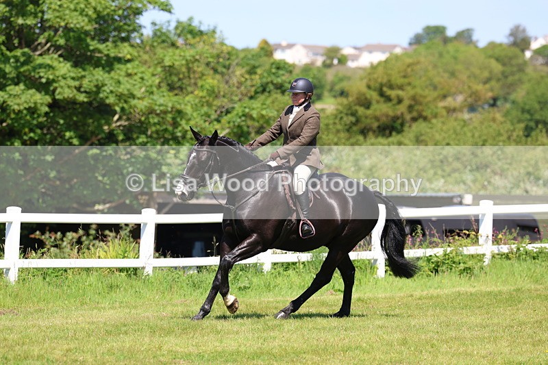 3E7A7014 - Class 30: Novice Working Hunter