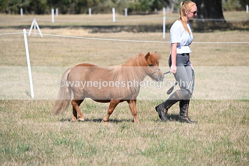 WJ6_4405 - Class 17 Mountain & Moorland