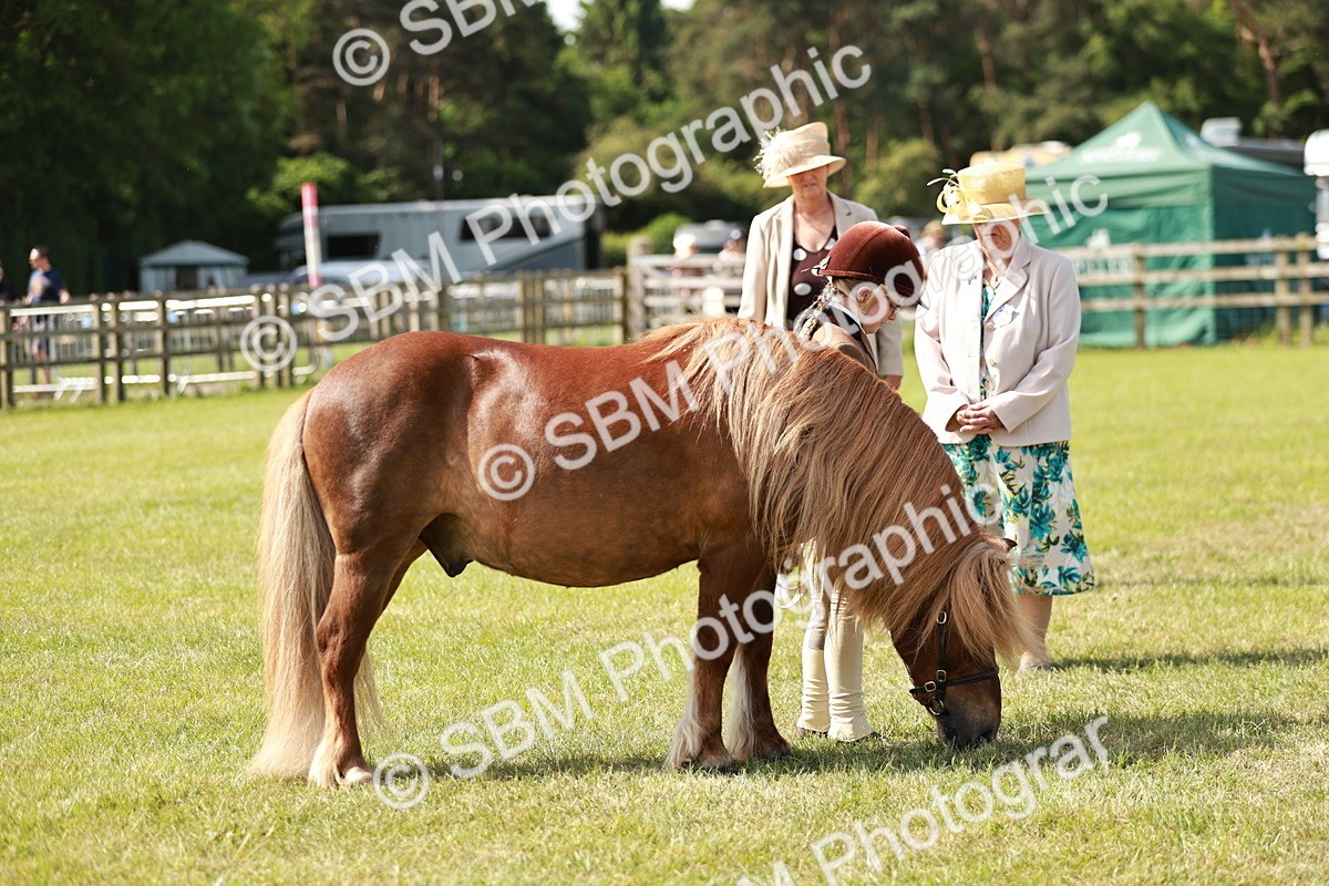 SBM_01820 - Class 14-23 - Mountain & Moorland In Hand Non Welsh