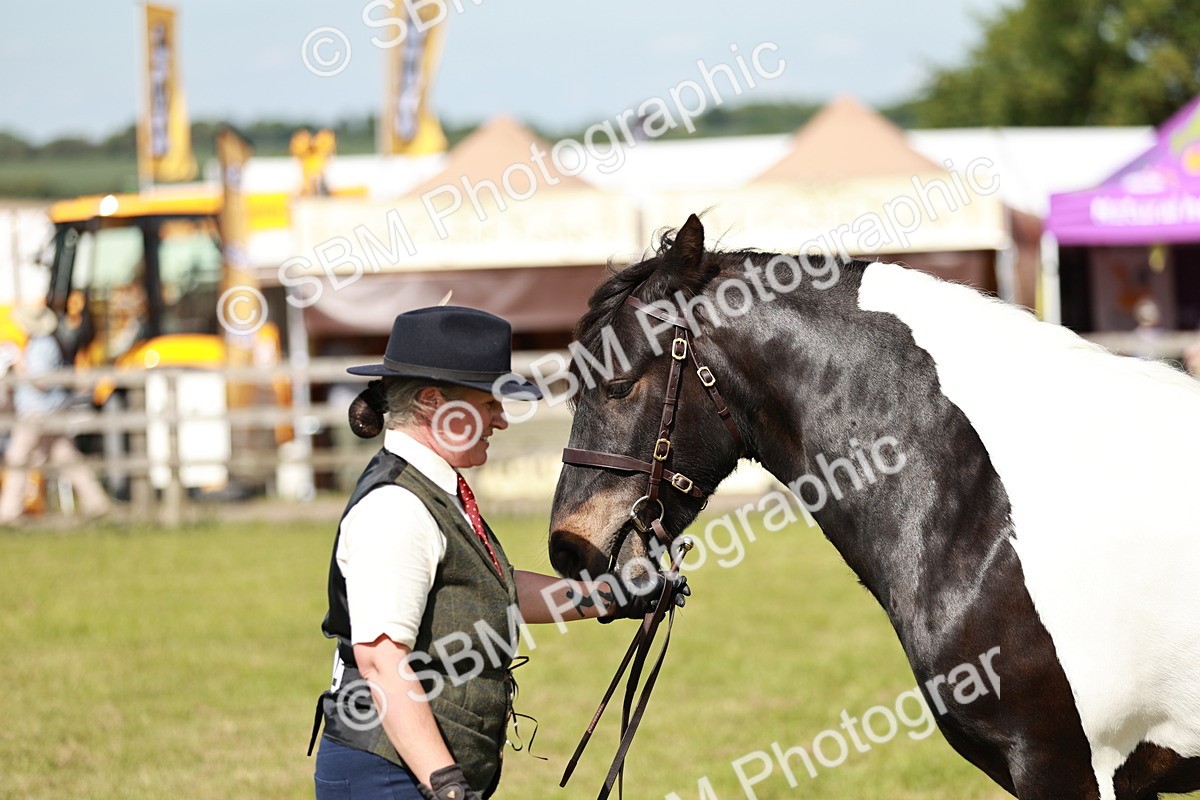 SBM_08806