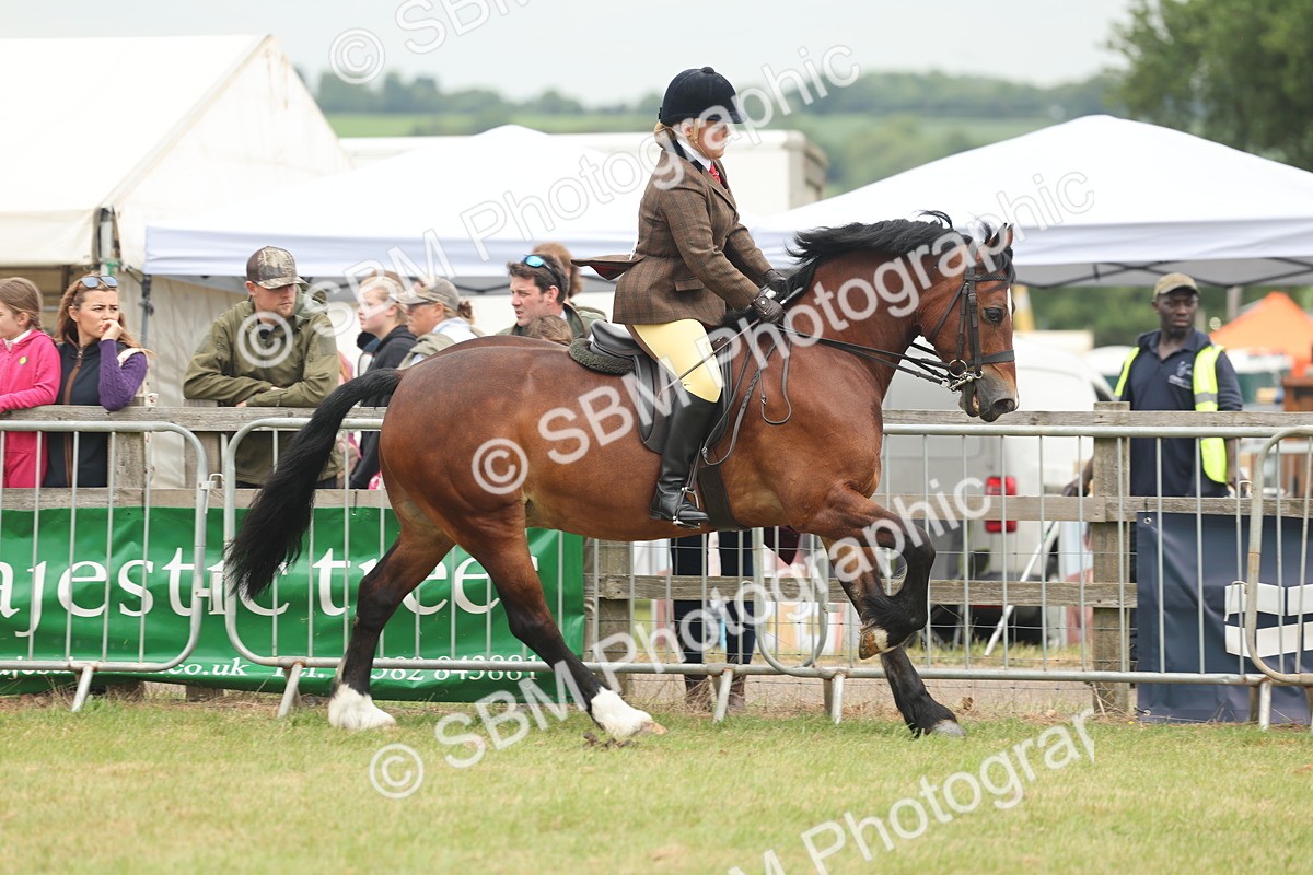 SBM_07188 - Class 76-77 - Ridden M&M Welsh Ponies