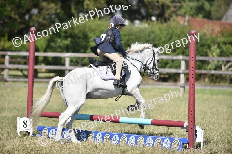 20260906-1723 - Class 9 - Absolute Novice Jumping 45cm