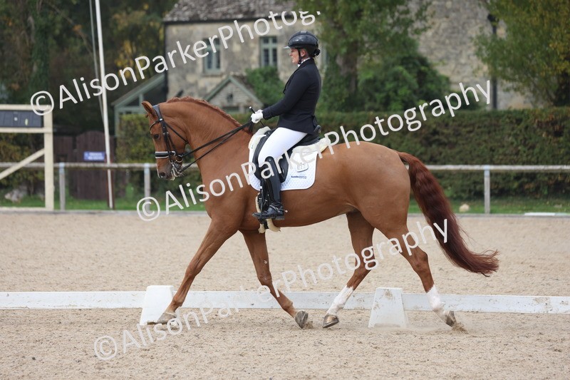 20251012-0789 - Class 9 - Advanced Medium 3