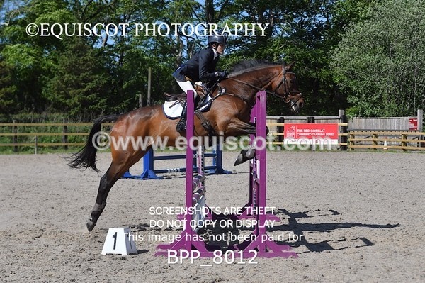 BPP_8012 - CLASS 2 Club/ Unaffiliated 80cms Open