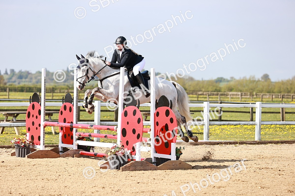  - Class 21 - Senior British Novice - 90cm