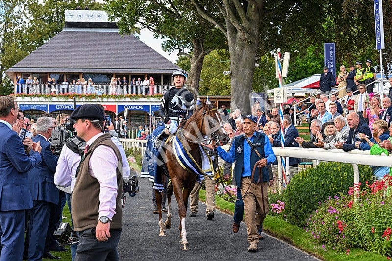 210826-Race 4-Bacio-0128 - Race 4 15.35pm Coolmore City Of Troy Nunthorpe Stakes
