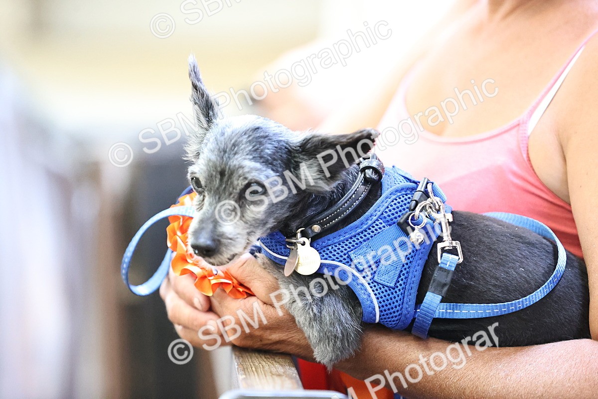SBM_004216 - SJ - 90cm
