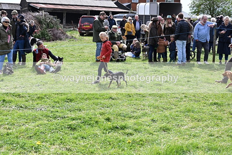 WJ6_8255 - Class 4 Prettiest Bitch