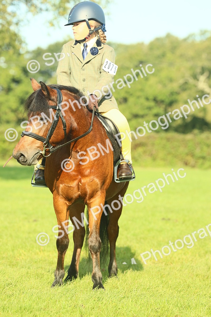 SBM_59142 - S38 - Starters Ridden Showing