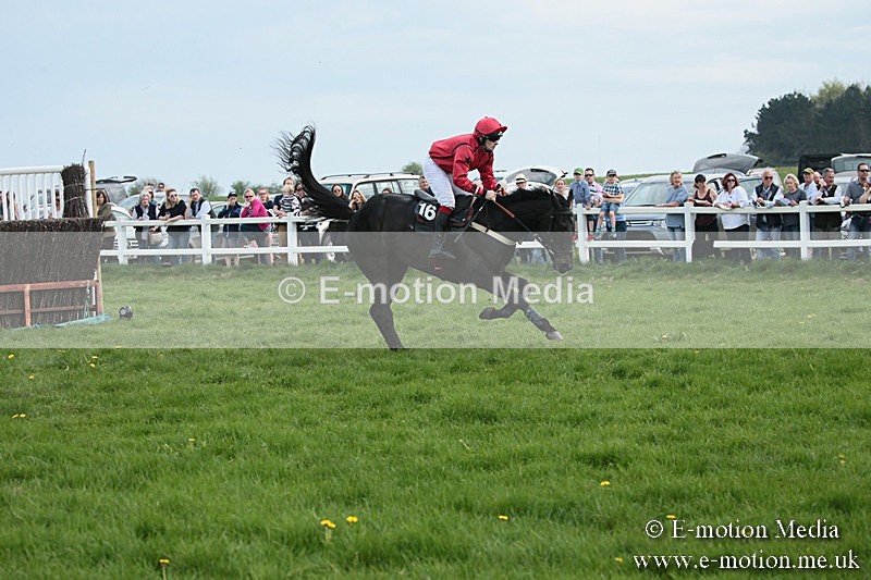 PtP 210418 211 - South & West Wilts Point-to-Point Larkhill 21/04/18