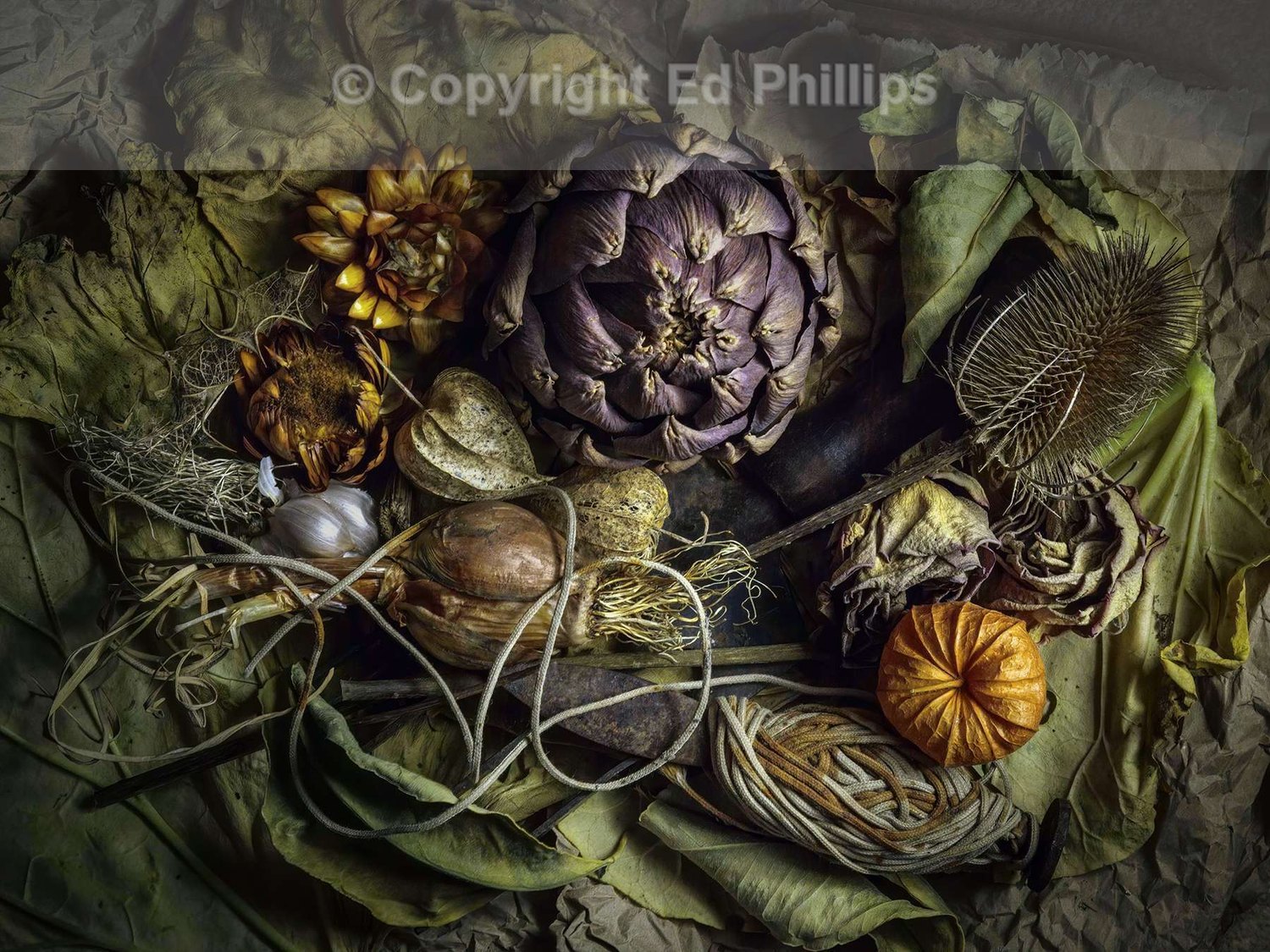 Garden Shed Miscellany