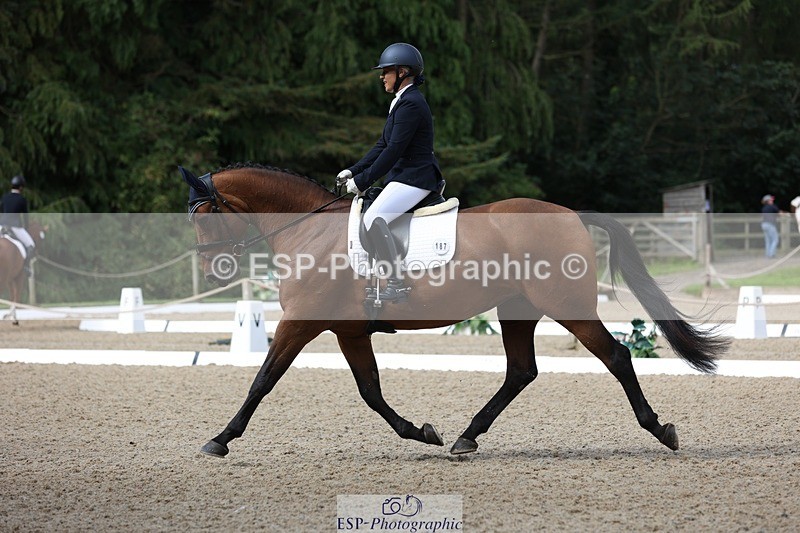 230813-100435-06229 - Cls 11 Elem Bronze Start to 10.50 break