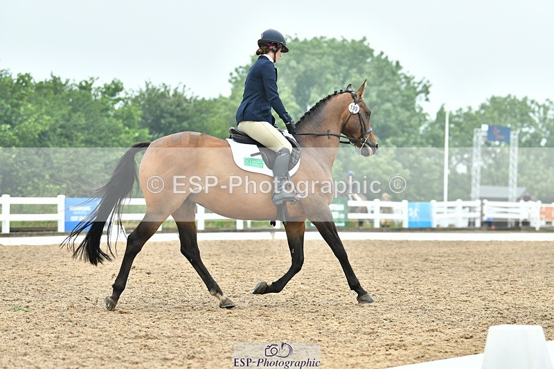 230708A-144046-03499 - Prelim 14