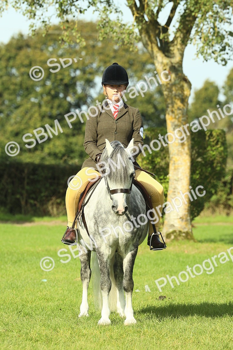 SBM_59955 - S38 - Starters Ridden Showing