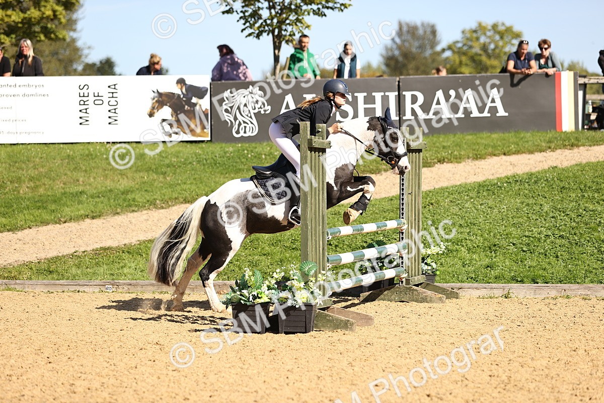 SBM_38497 - J39 - Senior 85cm Championship