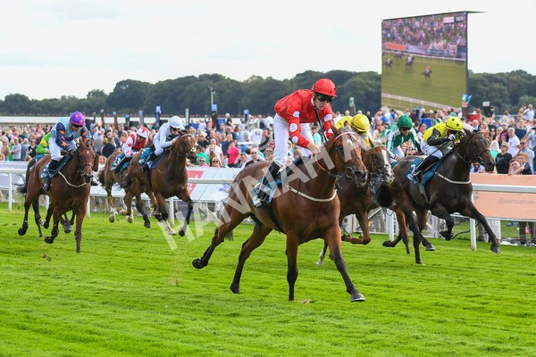 280723-Race 1-Tele Red-0069 - Race 1 5.00pm Pearly Cow Handicap