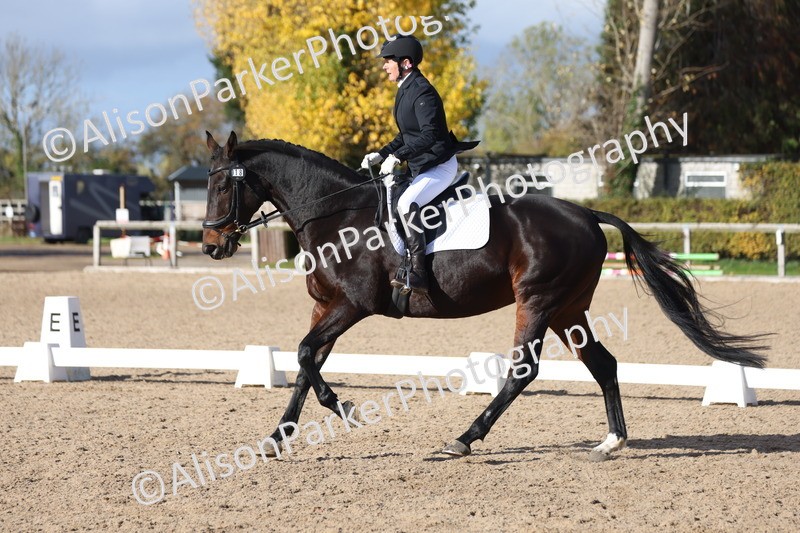 20251101-0608 - Class 4 - Novice 2