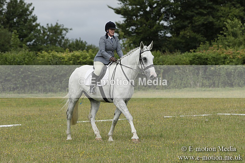 BVR160717-608 - Class 1 & 23a Dressage 16/07/17