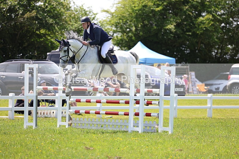3E7A1292 - Class 12: Senior Foxhunter/1.20 open