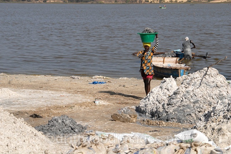 Senegal Lac Rose salt production 5 woman carrying salt from boat to sh - Senegal Salt Production at Lac Rose