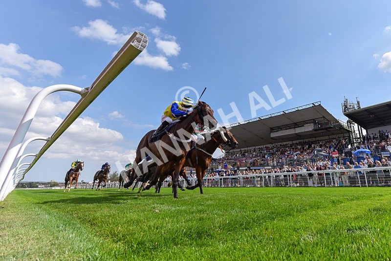 240825-Race 2-Smart Vision-0184 - Race 2