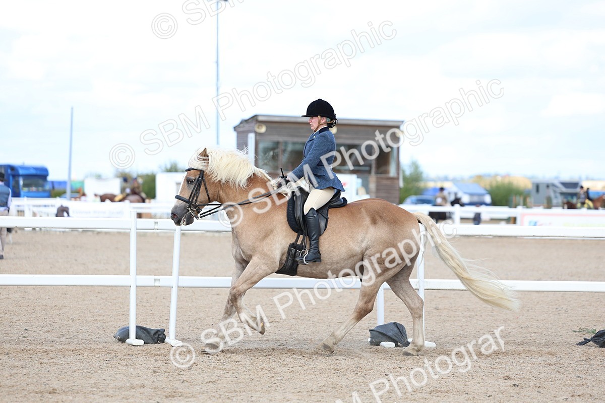 SBM_17179 - Class 315 - Best Horse - Rider Combination