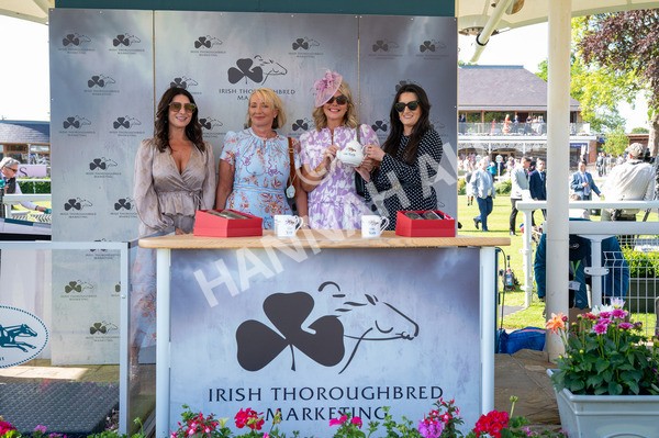 160525-Race 5-The Man-6603 - Race 5 4.15pm Irish Thoroughbred Marketing Handicap