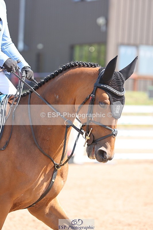 240718A-105329-04054 - Cls 29, YH 6 Yr Olds 1.20m