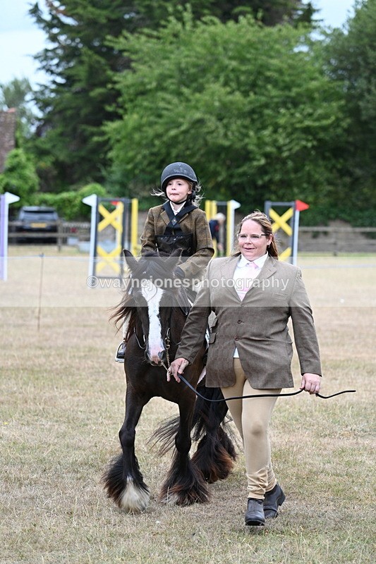 WJ7_8156 - Class 4 Prettiest Mare up to 14.2hh