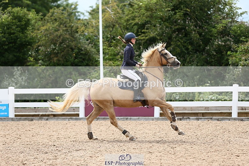 230716A-145905-04128 - Class 25a Pony Fox & 1.10 Open