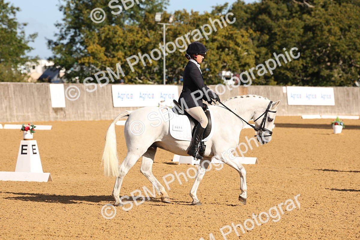 SBM_16043 - D10 - Small Tour Championship Prelim 2