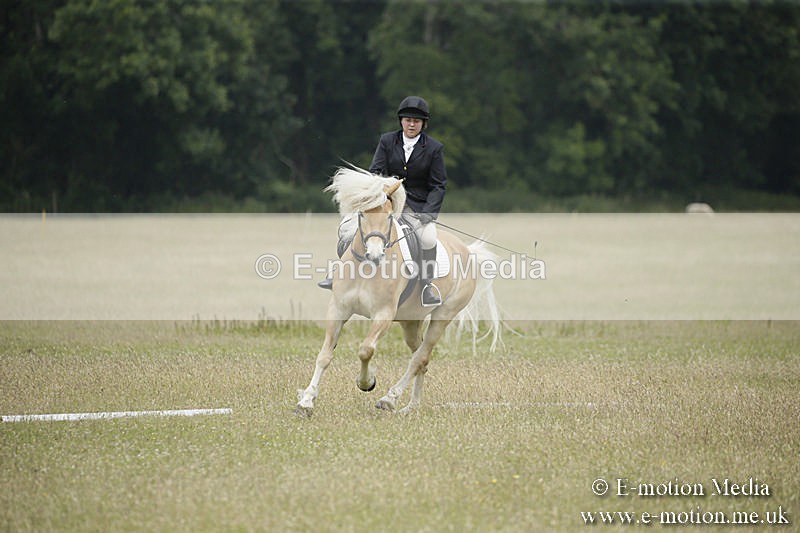 B230619-0604 - Bourne Valley Riding Club Summer Show 23/06/19