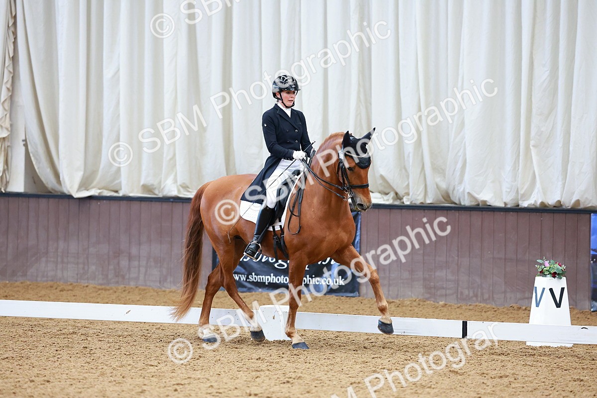 SBM_001241 - Class 12-19-16 - Lusitania-FEI INT I - PYO ADV 1