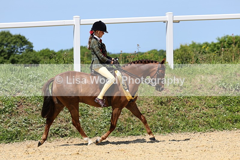 1X9A1436 - Ring Two Championship