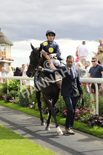 yr19082022r4-39 - Race 4 3.35pm Coolmore Wootton Bassett Nunthorpe Stakes (British Champion Series Race)